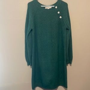 Ladies sweater dress